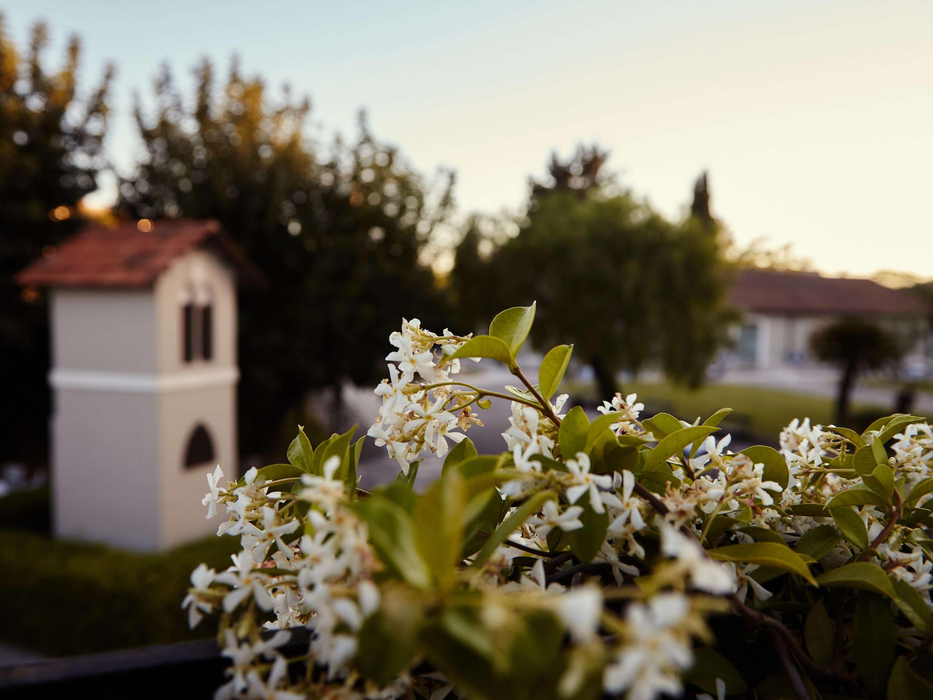 Mercure Villa Romanazzi Carducci Bari Exterior foto